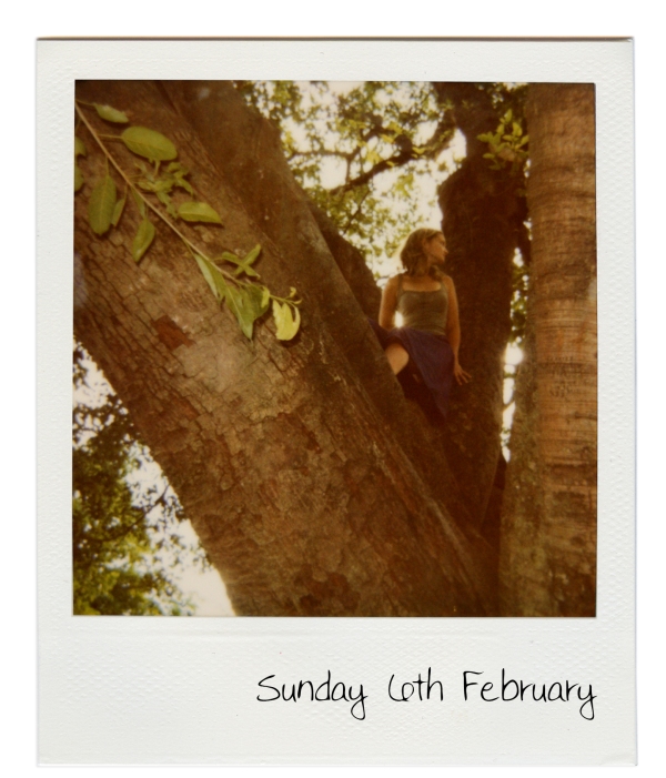 Hello Sunday Polaroid of Tree Climbing in West End
